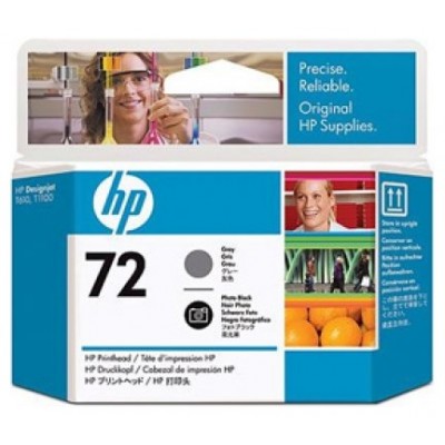 HP Designjet T610/1100 Cabezal gris y negro fotografico nº72 en Huesoi