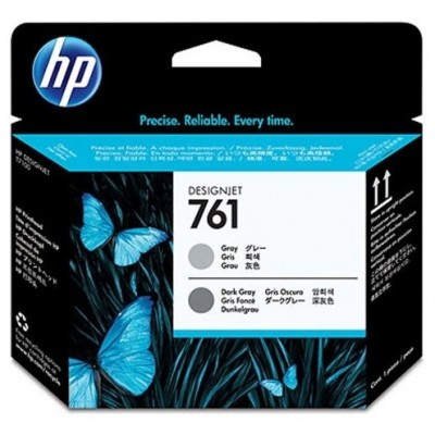HP Designjet T7100 Cabezal Gris/Gris Oscuro nº761 en Huesoi