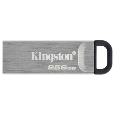 MEMORIA KINGSTON-JETFLASH DTKN 256GB en Huesoi