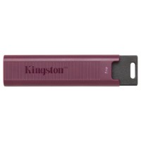 MEMORIA KINGSTON-JETFLASH DTMAXA 1TB en Huesoi