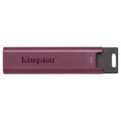 MEMORIA KINGSTON-JETFLASH DTMAXA 1TB en Huesoi