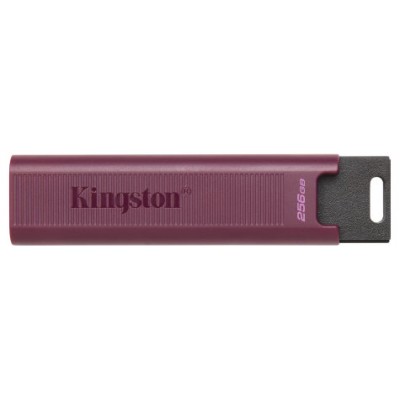 MEMORIA KINGSTON-JETFLASH DTMAXA 256GB en Huesoi