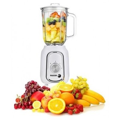 BATIDORA DE VASO FAGOR ECCOMIX 500W CAPACIDAD 1.5L en Huesoi