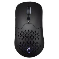 RATON HIDITEC GX30 PRO WIR en Huesoi