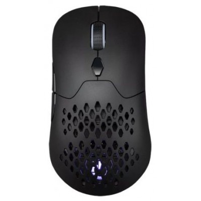 RATON HIDITEC GX30 PRO WIR en Huesoi