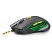 RATON NGS GMX-123 en Huesoi