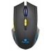 RATON NGS GMX-200 en Huesoi