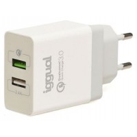 iggual Cargador doble 2xUSB carga rápida QC3.0 30W en Huesoi