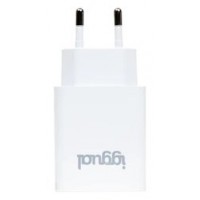 iggual Cargador de pared 1xUSB 5V/2.4A (12W) en Huesoi