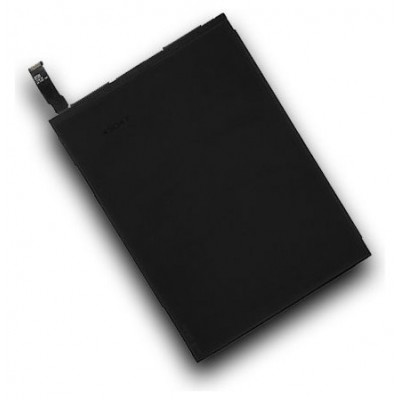 Pantalla LCD iPad Mini (Espera 2 dias) en Huesoi