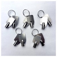 QNAP KEY-01-10PCS accesorio de bastidor Llave de cierre (Espera 4 dias) en Huesoi