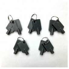 QNAP KEY-02-10PCS accesorio de bastidor Llave de cierre (Espera 4 dias) en Huesoi
