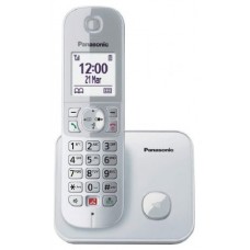 TELEFONO PANASONIC KX-TG6851SP SV en Huesoi