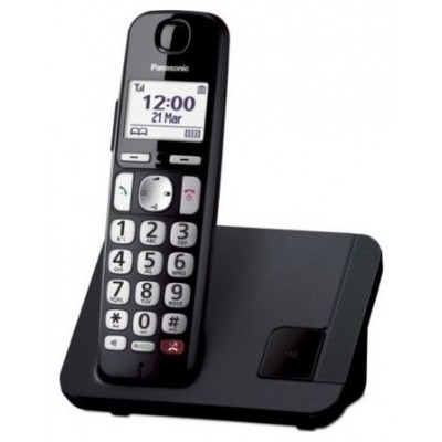 TELEFONO PANASONIC KX-TGE250SPB BK en Huesoi