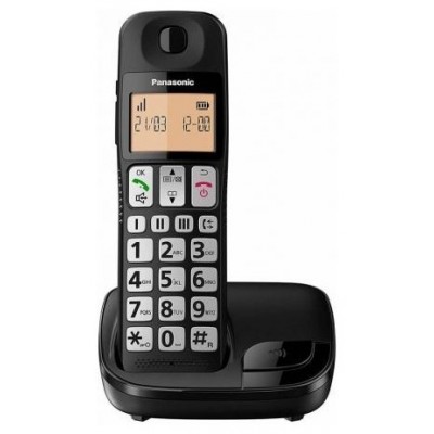 TELEFONO PANASONIC KX-TGE310SPB en Huesoi