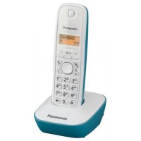 TELEFONO PANASONIC KX-TG1611GC en Huesoi