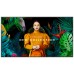 Samsung LH55QMCEBGCXEN pantalla de señalización Pantalla plana para señalización digital 139,7 cm (55") LCD Wifi 500 cd / m² 4K Ultra HD Negro Tizen 24/7 (Espera 4 dias) en Huesoi