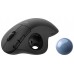 LOGITECH MOUSE RATON ERGO M575 BLUETOOTH & WIRELESS GRAFITO en Huesoi