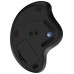 LOGITECH MOUSE RATON ERGO M575 BLUETOOTH & WIRELESS GRAFITO en Huesoi