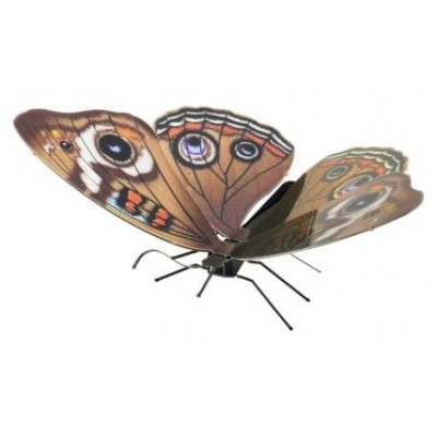 MAQUETA 3D METAL FASCINATIONS MARIPOSA BUCKEYE MONTAJE en Huesoi