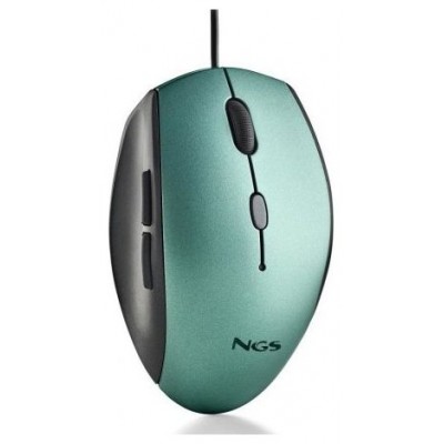RATON NGS MOTHICE en Huesoi