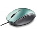 RATON NGS MOTHICE en Huesoi