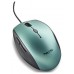 RATON NGS MOTHICE en Huesoi