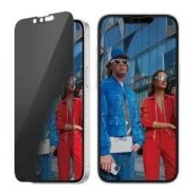 PanzerGlass Privacy Scr. iPhone SE 2025 -14-13-13P en Huesoi