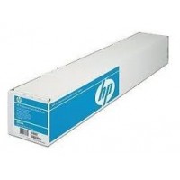 HP Papel Professional Satinado Photo 300g/m2 en Huesoi