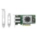 QNAP QXP-820S-B3408 tarjeta y adaptador de interfaz Interno SAS (Espera 4 dias) en Huesoi