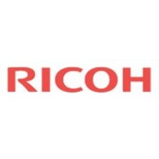 RICOH Rh 100 Heating System en Huesoi