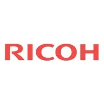 RICOH Rh 100 Heating System en Huesoi