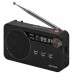 AIW-RADIO RS-77PLLBK en Huesoi