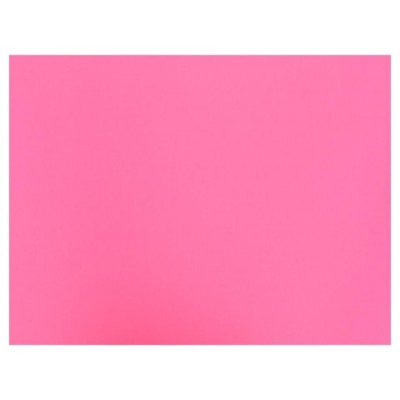 BOLSA 25 CARTULINAS 185 GR 50 X 65 CM FUCSIA FABRIANO S3215609 (Espera 4 dias) en Huesoi
