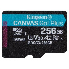 Kingston Technology Canvas Go! Plus memoria flash 256 GB MicroSD Clase 10 UHS-I (Espera 4 dias) en Huesoi