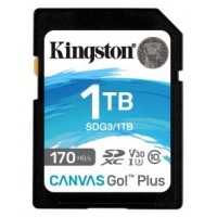 Kingston Technology Canvas Go! Plus 1 TB SD UHS-I Clase 10 (Espera 4 dias) en Huesoi