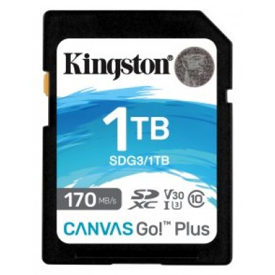 Kingston Technology Canvas Go! Plus 1 TB SD UHS-I Clase 10 (Espera 4 dias) en Huesoi
