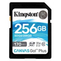 MEMORIA SD 256GB KINGSTON SDXC CANVAS GO PLUS 170R C10 · (Espera 4 dias) en Huesoi