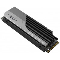 SP XS70 SSD 4TB NVMe PCIe Gen 4x4 w/HS en Huesoi