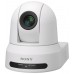 Sony SRG-X120 Cámara de seguridad IP Almohadilla Techo/Poste 3840 x 2160 Pixeles (Espera 4 dias) en Huesoi