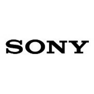 SONY 2 HRS REMOTE TRAINING RESOURCE.  CONTENT TO BE AGREED IN ADVANCE. (TRN.TEOS.REMOTE.2) (Espera 4 dias) en Huesoi