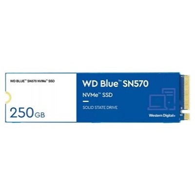 WD-SSD WD BL SN570 250GB en Huesoi