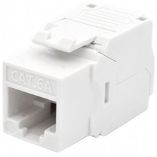 WP Keystone Cat. 6a UTP RJ45/Hembra Blanco en Huesoi